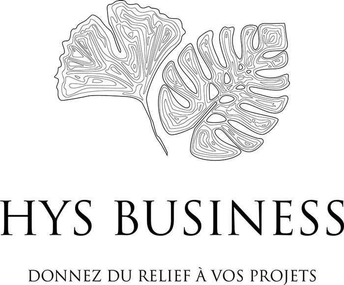 logo-HYS-BUSINESS-relief-projets